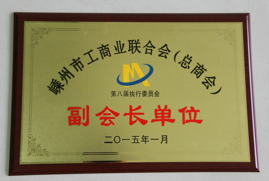  琥珀酸索利那新 